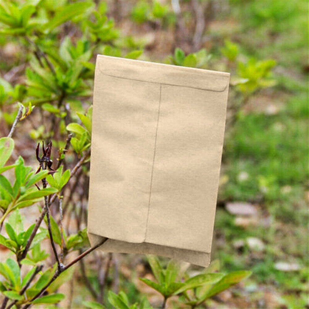 100/200PCS Coin Envelope Cash Check Ticket Salary Grain Seed Key Post Office