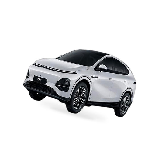 6 Layer Thick WindScreen SunShade Suitable for XPENG G6