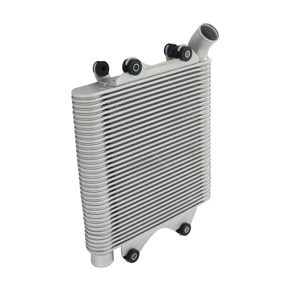 INTERCOOLER FIT ISUZU D-MAX TF RODEO RA COLORADO RC 3. 0L 4JJ1 TURBO DIESEL