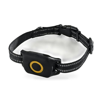 compare product 4G Wireless GPS Dog Tracker Suitable for Outdoor Use