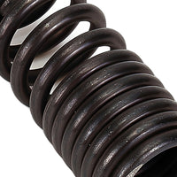 Engine Valve Spring Suitable for Honda Civic CRX Del Sol Acura Integra B16A B18C - XQ1