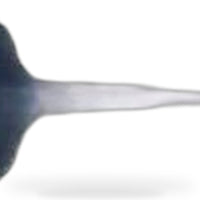 Exhaust Valve Suitable for Ford EcoSport Escort Focus 2019 1.5L HN19-6505AA - XQ1