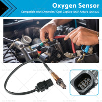 Oxygen Sensor Suitable for Calais VE Holden Captiva CG Commodore 3. 6L 92210450