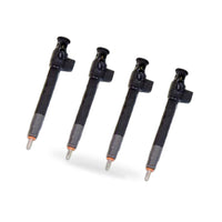 DS7Q-9F593-BB 9674984080 28319895 28388960 28602948 fuel Injector for FORD PEUGE - BD1