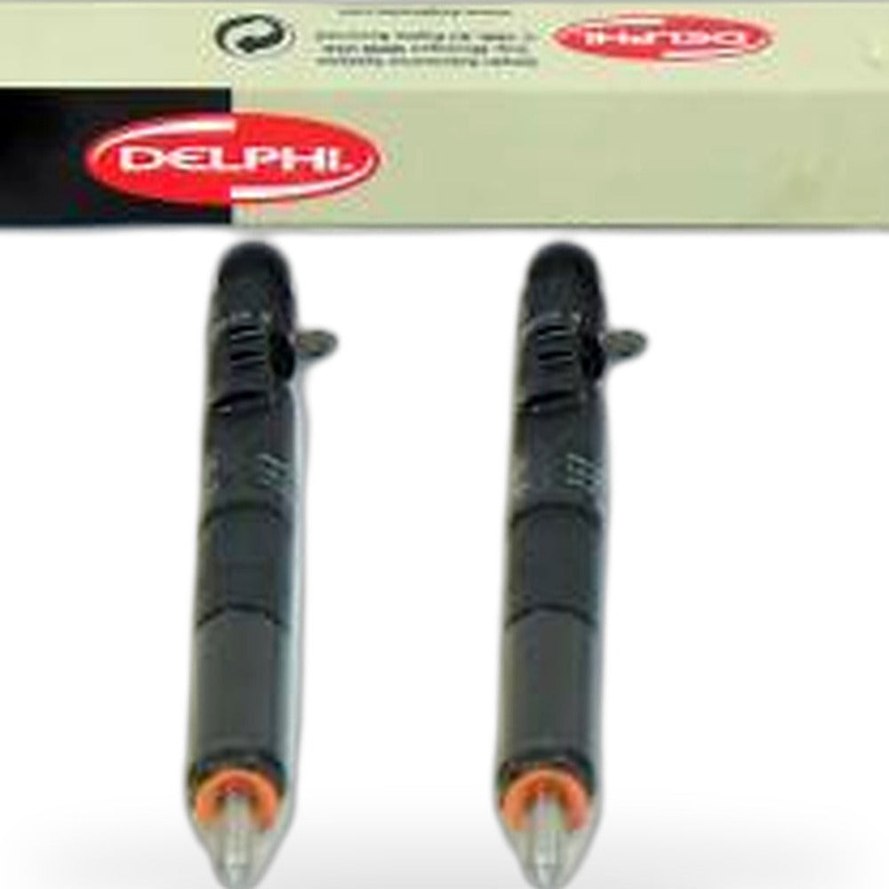 Delphi Injector 33800-4X900 HRD333 R03001D x 2 - 1 Year Warranty - XQ1