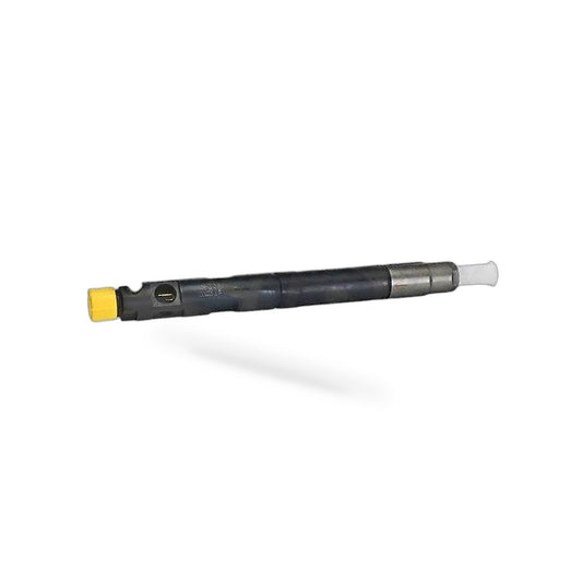 Delphi Fuel Injector R04901D 28280600 For TATA Safari 2.2L EURO 4 278901160101