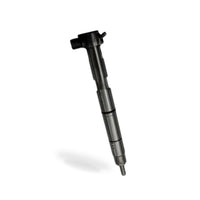 Reman Delphi Injector PFJDI300 R00203D 33800-2A760 28540276 - 1 Year Warranty - BD1