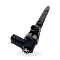 Diesel Fuel Injector 0445110162 for Mercedes Dodge Sprinter OM647 2.7L 2004-2006 - ZT2