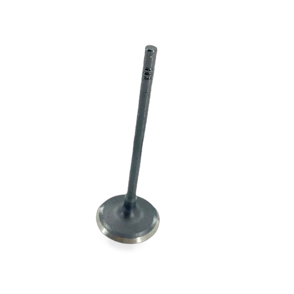 Intake Valve Suitable for Ford EcoSport Focus Escort 2019-2023 1.5L HN19-6507AA - BD1