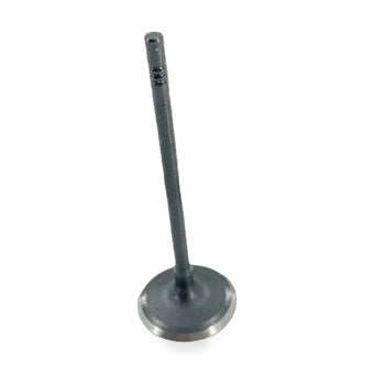 compare product Intake Valve Suitable for Ford EcoSport Focus Escort 2019-2023 1.5L HN19-6507AA