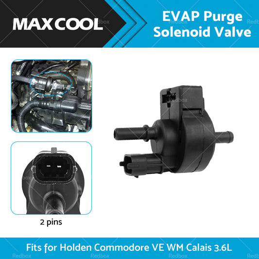 12611801 EVAP Purge Solenoid Valve Suitable for Holden Commodore VE V6 3.6 06-13