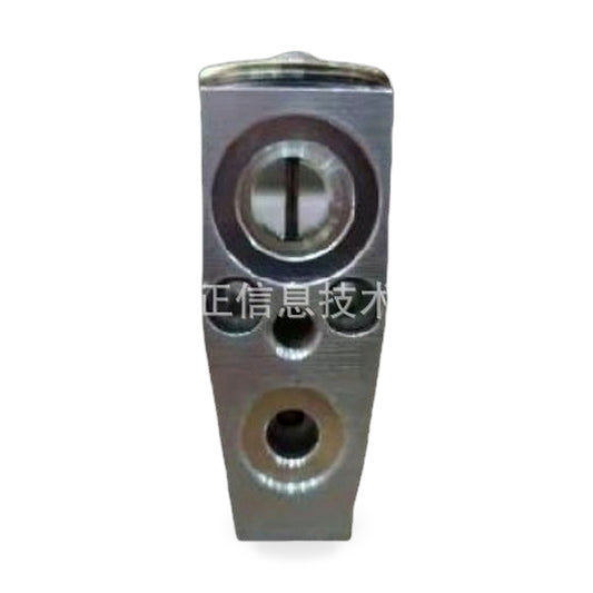 Expansion Valve Suitable for Ford Fiesta 2013-2019 Explorer 2011-2019 Escape - ZT2