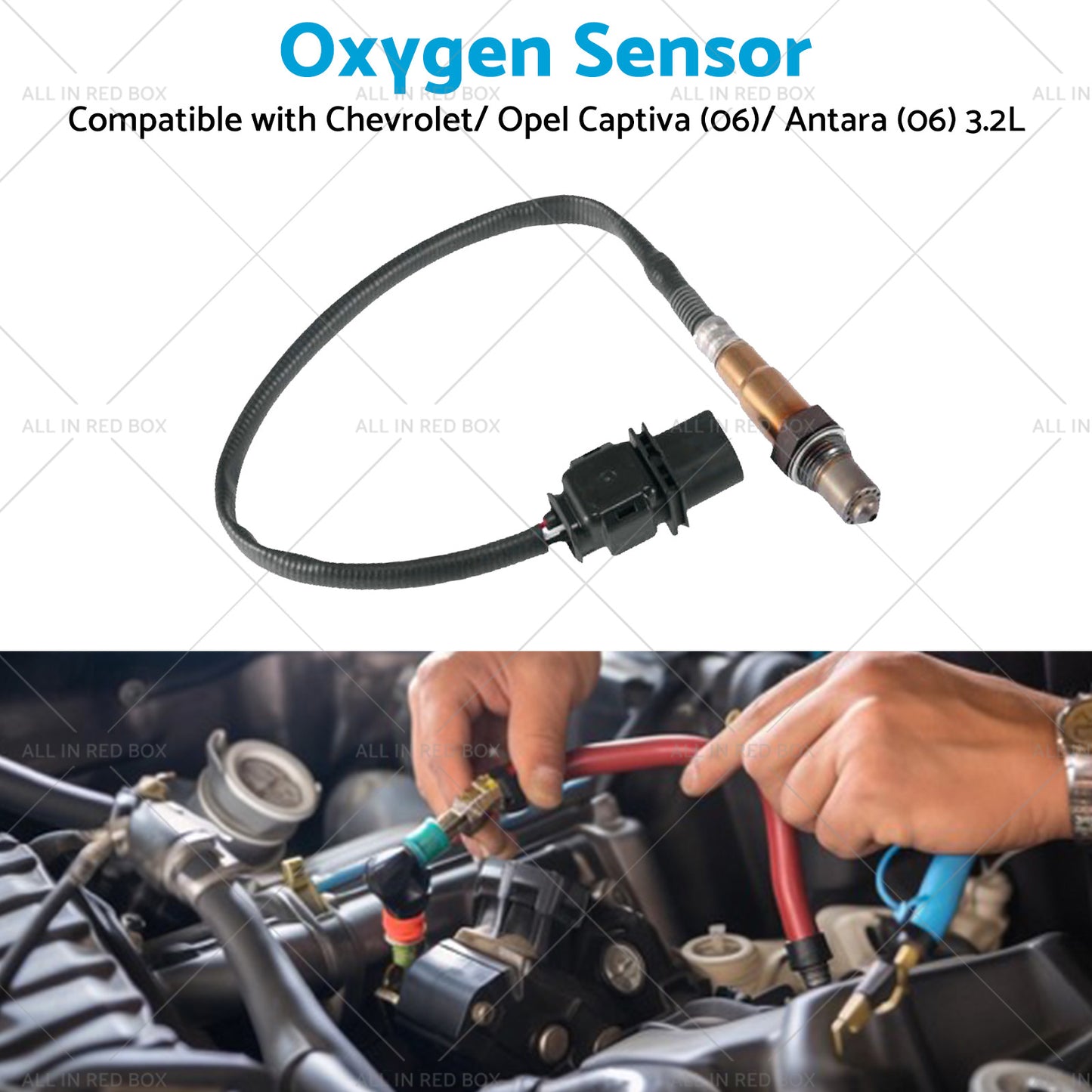 Oxygen Sensor Suitable for Calais VE Holden Captiva CG Commodore 3. 6L 92210450