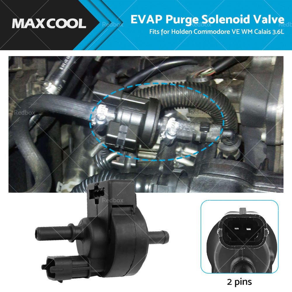 12611801 EVAP Purge Solenoid Valve Suitable for Holden Commodore VE V6 3.6 06-13