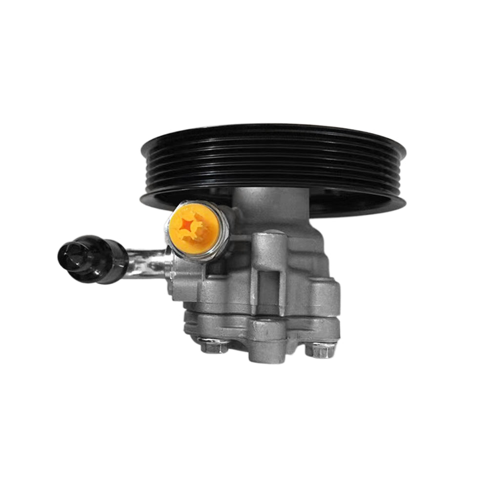 Power Steering Pump  and  Pulley For Holden Commodore 6. 0L V8 VE VZ L98  2005-2013