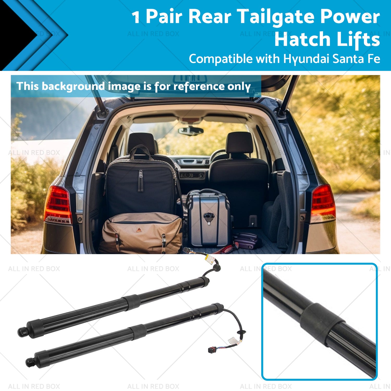 Power Tailgate Gas Strut