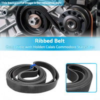 Ribbed Belt 6PK2720 Suitable for Holden Calais Commodore Statesman V6