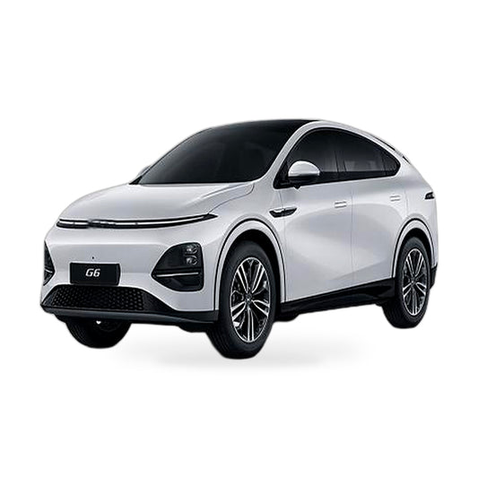 6 Layer Thick WindScreen SunShade Suitable for XPENG G6