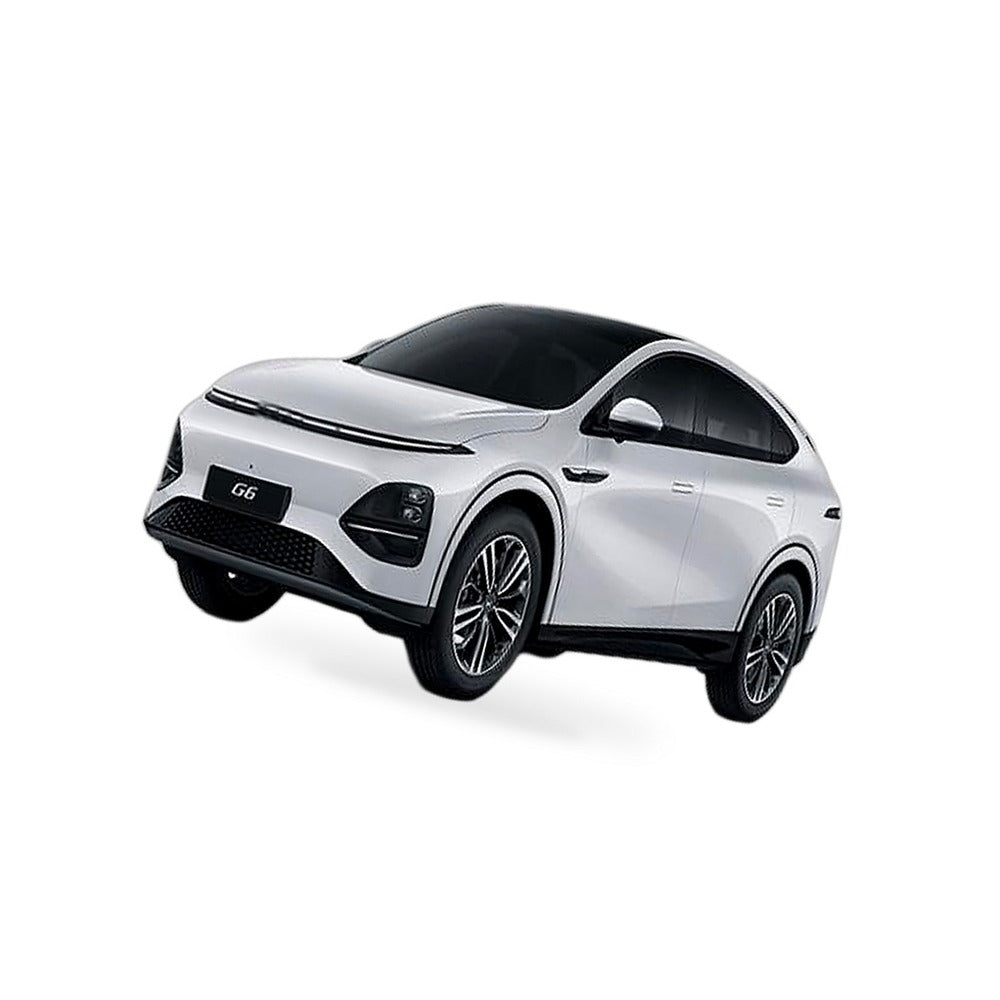 6 Layer Thick WindScreen SunShade Suitable for XPENG G6