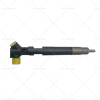 Fuel injector Suitable for Delphi Benz 28307309