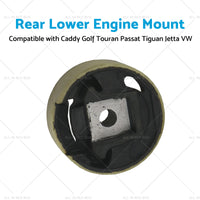 Rear Lower Engine Mount Suitable For Caddy Golf Touran Passat Tiguan Jetta VW