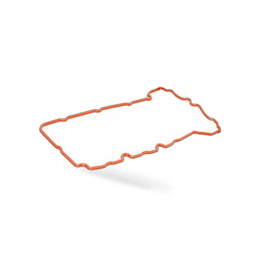 Valve Cover Gasket Suitable for BMW 1 3 5 Series X1 X3 Z4 12591200