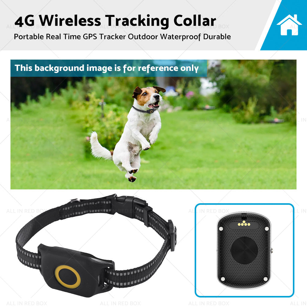 4G Wireless Portable Real Time GPS Dog Tracker Outdoor Waterproof Durable Collar