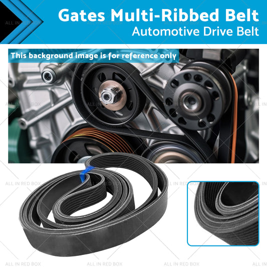 6PK2000 Gates Multi-Ribbed Belt Automotive Drive Belt PK Belt