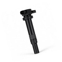 Ignition Coil 273013E400 Suitable for Hyundai Santa Fe Sonata Tucson 2.7L V6 - BD2