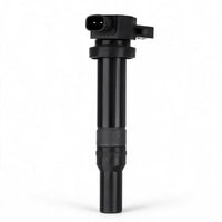 Ignition Coil 273013E400 Suitable for Hyundai Santa Fe Sonata Tucson 2.7L V6 - ZT2