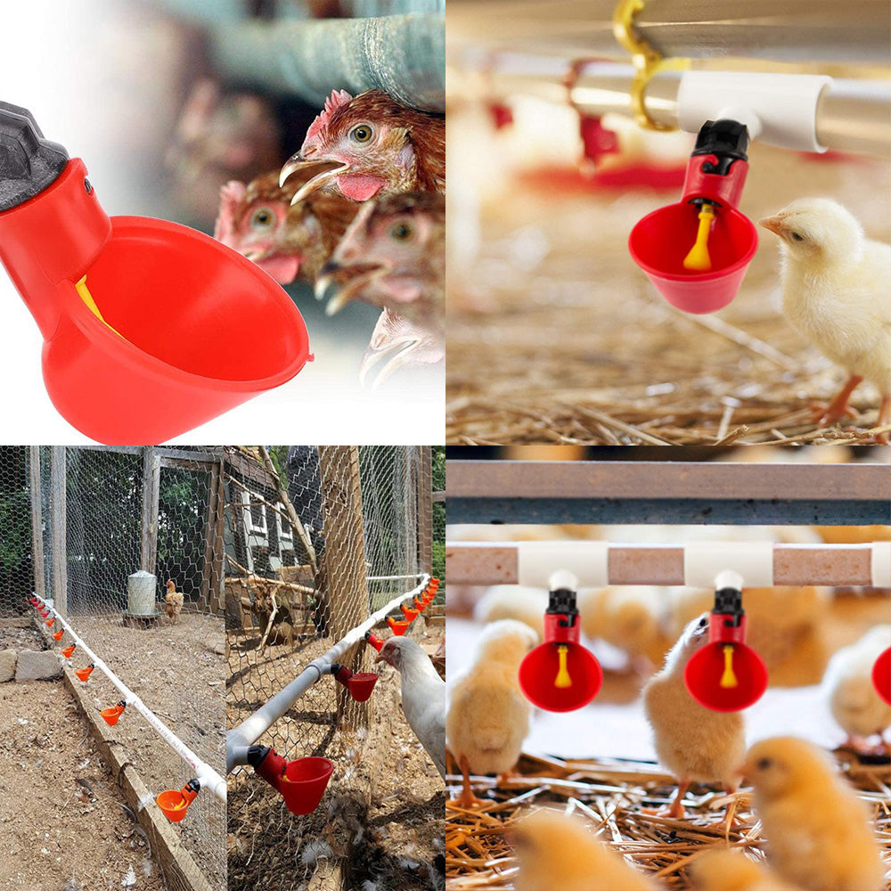 20x Poultry Chicken Automatic Drinker Cup Waterer Chook Bird Water Feeder Set