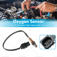 Oxygen Sensor Suitable for Calais VE Holden Captiva CG Commodore 3. 6L 92210450