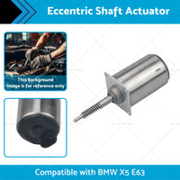 Eccentric Shaft Actuator Suitable for BMW X5 E63 E60 E53 02-08 4. 4L or 4. 8L