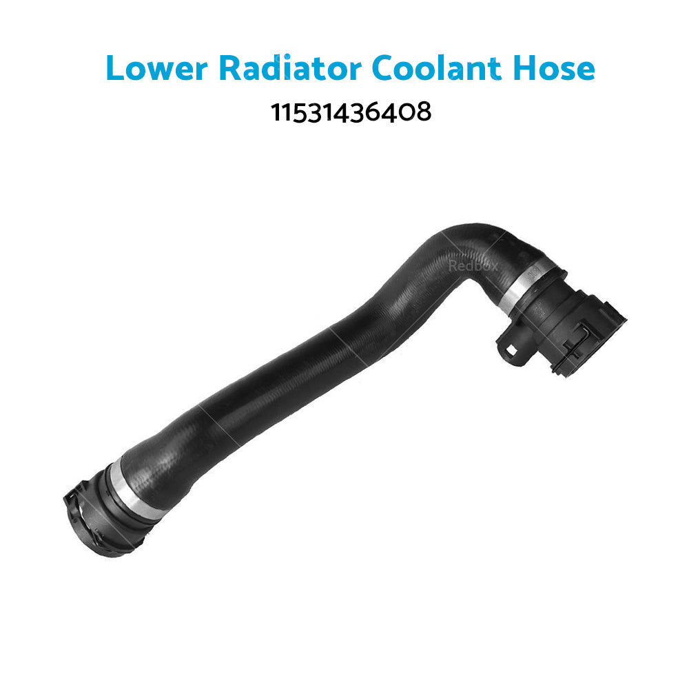 Radiator Coolant Hose Lower Fits For BMW 98-06 E46 320i 323i 325i 11531436408