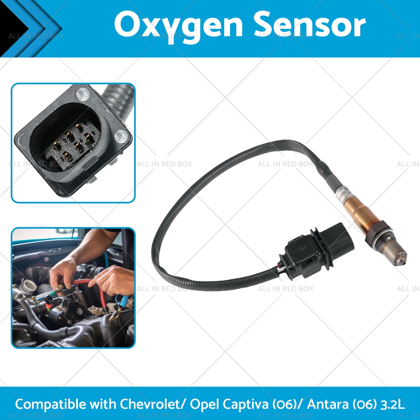 Oxygen Sensor Suitable for Calais VE Holden Captiva CG Commodore 3. 6L 92210450