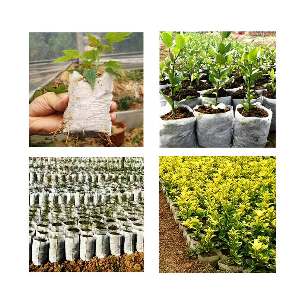 200x Non-Woven Biodegradable Grow Bags Suitable For Plant Nursery Seedling & Garden